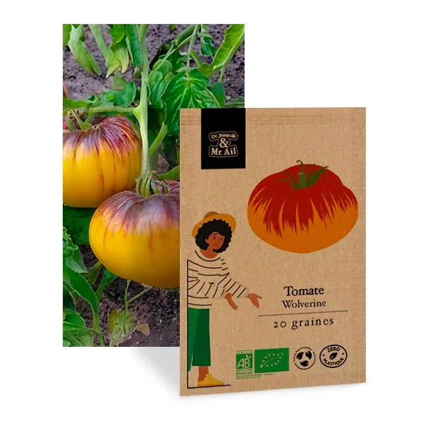 Tomate wolverine - graines bio et reproductibles