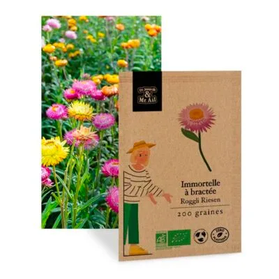 Immortelle à bractée roggli riensen - graines bio et reproductible