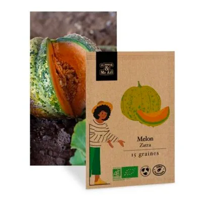 Melon zatta - graines bio et reproductible