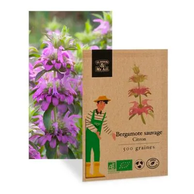 70922 bergamote sauvage citron graine bio