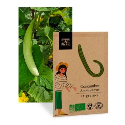 concombre arménien vert - graines bio et reproductible