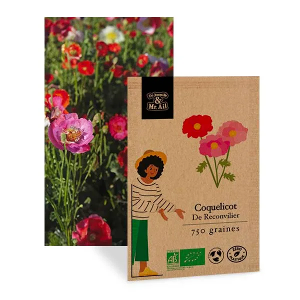 coquelicot de reconvilier - graines bio et reproductible