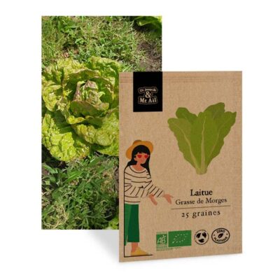 Laitue Romaine Grasse de Morge - graine bio et reproductible