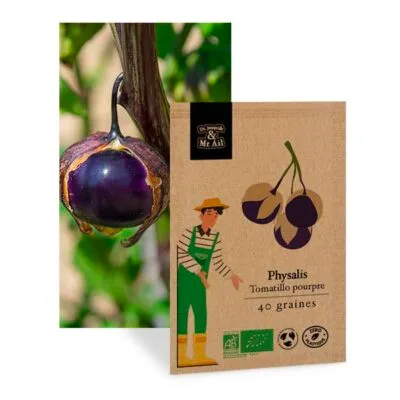 Physalis Tomatillo pourpre - graines bio et reproductible