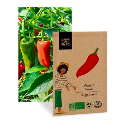 Piment Gorria - graines bio et reproductible