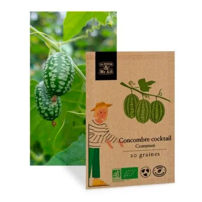 70960 concombre cocktail commun graine bio
