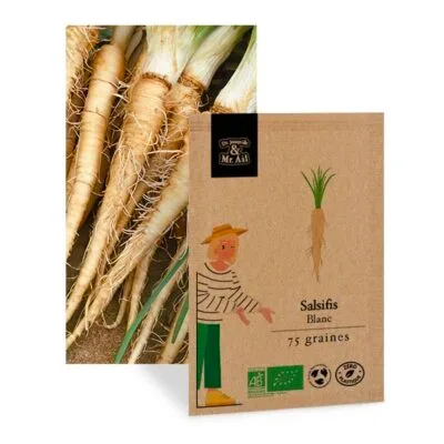 Salsifis blanc - Graines bio et reproductible
