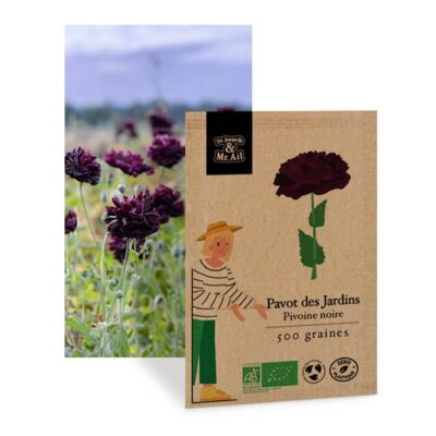 Pavot des jardins Pivoine noire - graines bio et reproductible