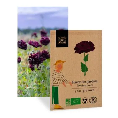 Pavot des jardins Pivoine noire - graines bio et reproductible