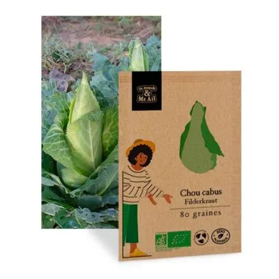 chou cabus Filderkraut - graines bio et reproductible