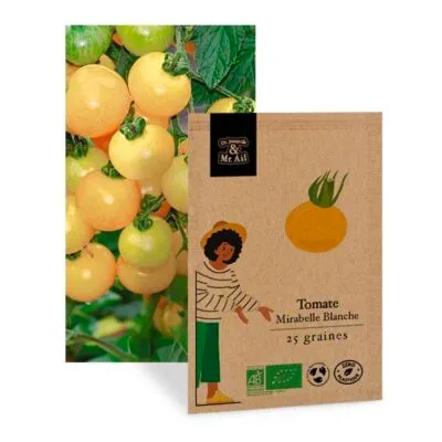 Tomate mirabelle blanche - graine bio et reproductible
