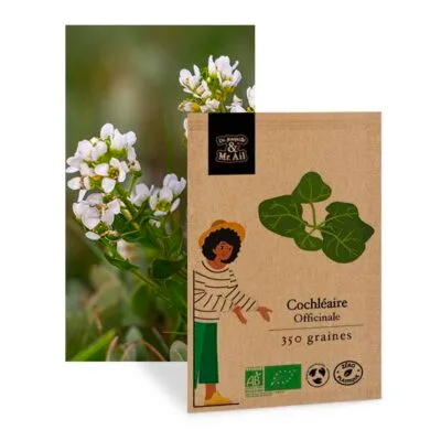 cochléaire officinale - graines bio et reproductible