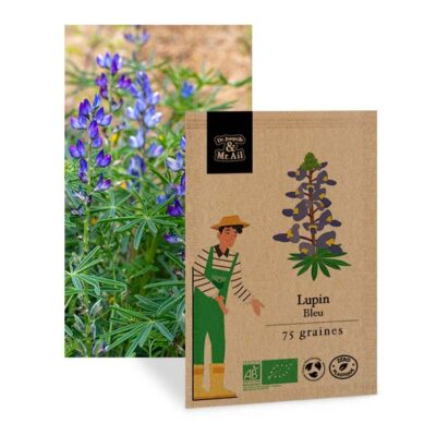 Lupin bleu - Graines bio et reproductible