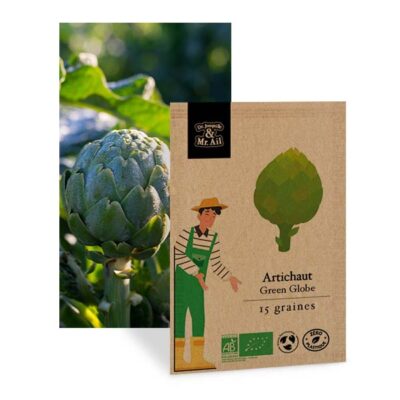 Artichaut green - graines bio et reproductible