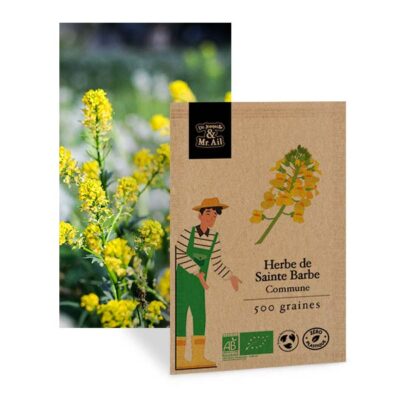 Herbe de sainte Barbe graines bio et reproductibles