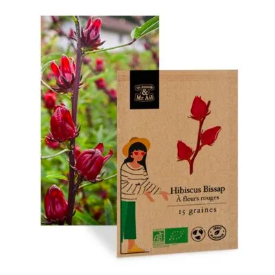 Hybiscus Bissap à fleurs rouges - graines Bio et reproductibles