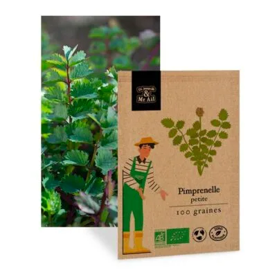 Petite Pimprenelle - graine bio et reproductible
