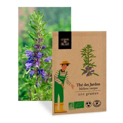 Thé des jardins mélisse turque - graine bio et reproductible
