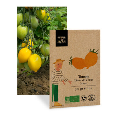 Tomate têton de venus - graines bio et reproductibles