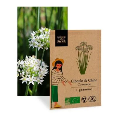 Ciboule de chine commune - Graines bio et reproductibles