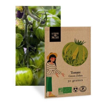 Tomate Green Zebra Bio et Reproductible - Dr. Jonquille & Mr. Ail