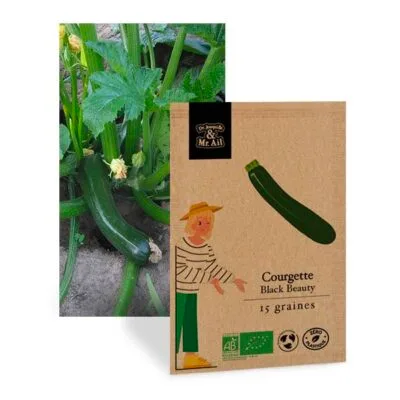 Courgette Black Beauty Bio et Reproductible - Dr. Jonquille & Mr. Ail