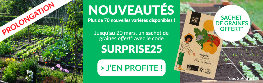 Bandeau site sachet offert