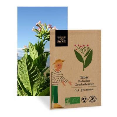 Tabac Badischer Geudertheimer - graines bio et reproductible
