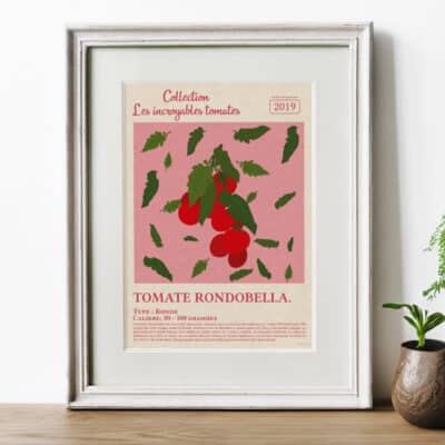Affiche/Poster Tomate Rondobella - Dr. Jonquille & Mr. Ail 30 x 40 cm Papier certifié FSC Imprimée à Nantes