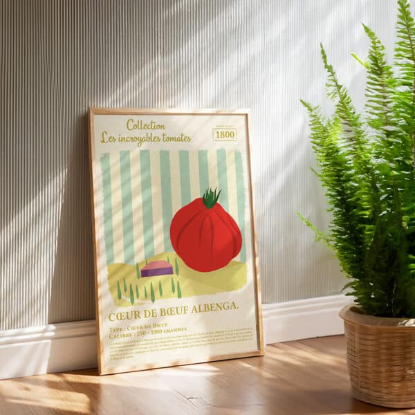 Affiche Coeur de boeuf Albenga | 30x40 cm