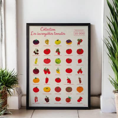 Affiche/Poster Les Incroyables Tomates - Dr. Jonquille & Mr. Ail 30 x 40 cm Papier certifié FSC Imprimée à Nantes