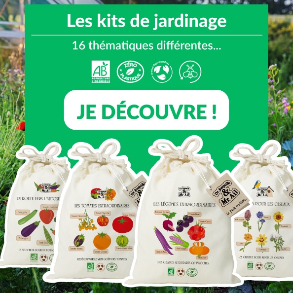 Kit de graines bio - assortiments de graines bio et reproductibles