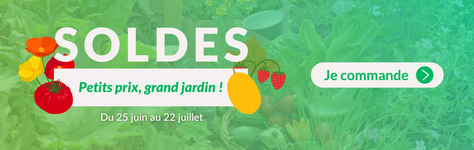 Dr. Jonquille et Mr. Ail - semences bio et reproductibles - soldes été 2025