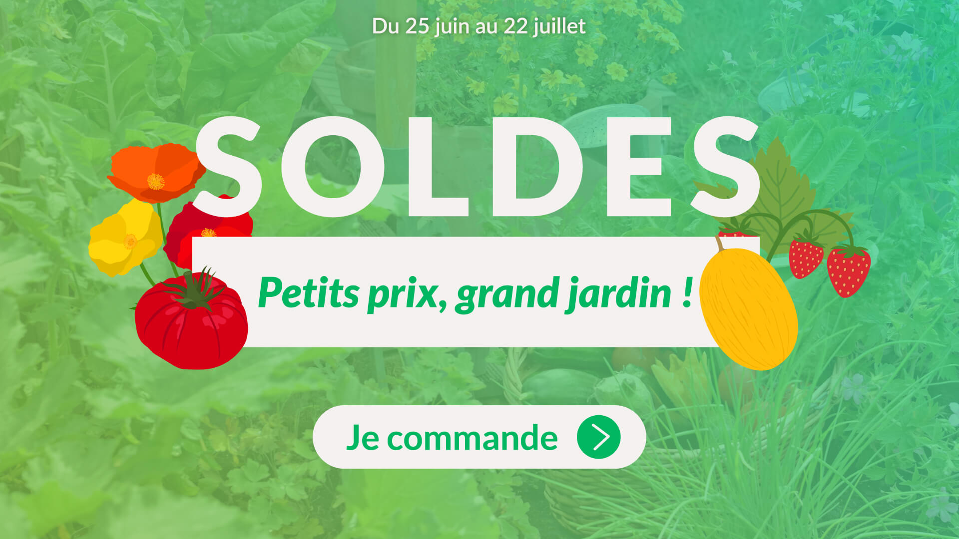 Dr. Jonquille et Mr. Ail - semences bio et reproductibles - soldes été 2025