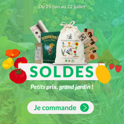 Dr. Jonquille et Mr. Ail - semences bio et reproductibles - soldes été 2025