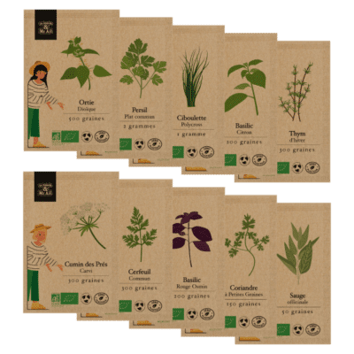 semences bio et reproductibles - sélection de graines aromatiques - fête des pères 2025
