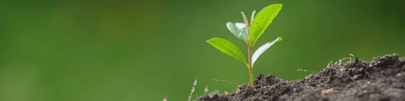 Labels et certifications Comment reconnaître une vraie semence bio ? Labels et certifications