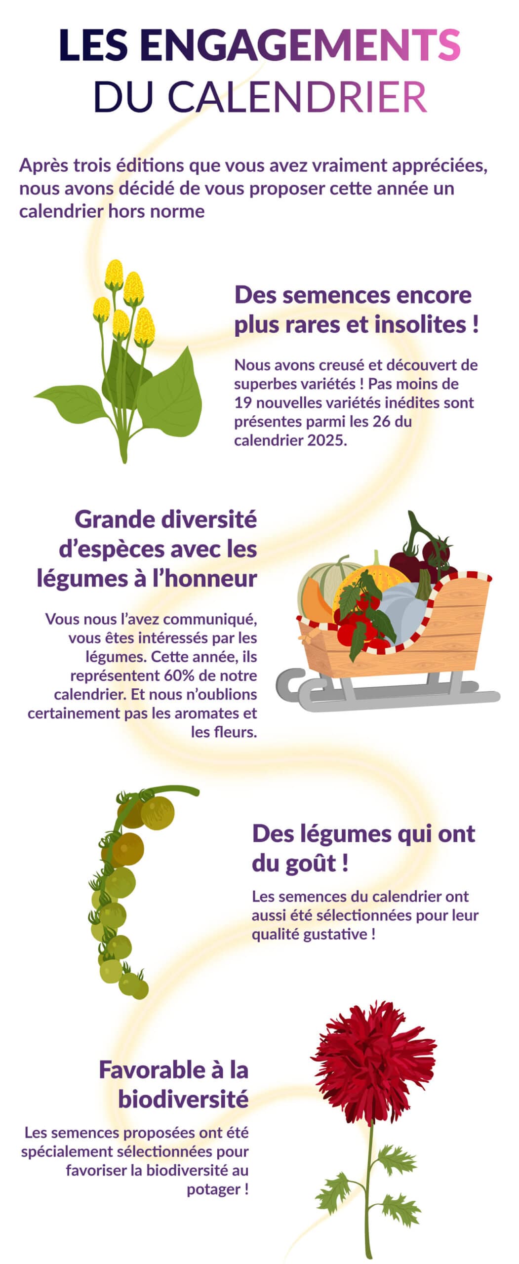 ulule-2025-dashboard-1 Calendrier de l'avent 2025 Spécial Potager Extraordinaire - les engagements