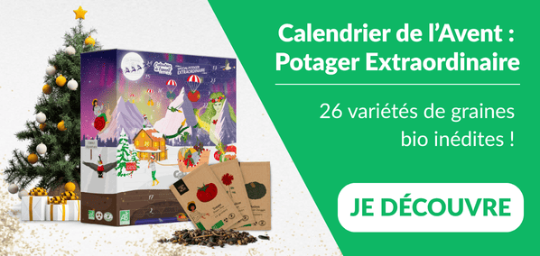 Calendrier Avent - Dr. Jonquille & Mr. Ail