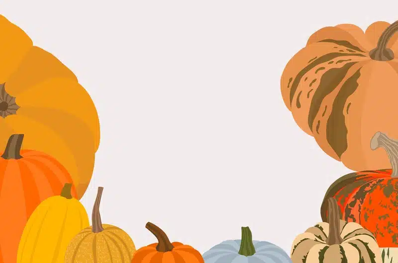 Ventes Privées Jonquille Family - Dr. Jonquille & Mr. Ail