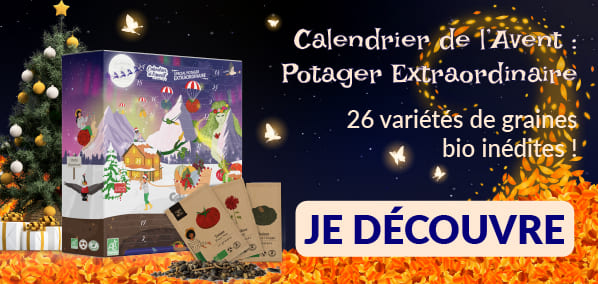 2025-_FSMA-HP-calendrier-594x284 La folle semaine de Mr. Ail : calendrier de l'avent - Dr. Jonquille & Mr. Ail