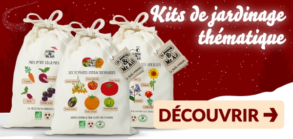 2 Site Noël 2025_HP-600x285-06 Dr. Jonquille et Mr. Ail : L'incroyable Noël de Dr. Jonquille