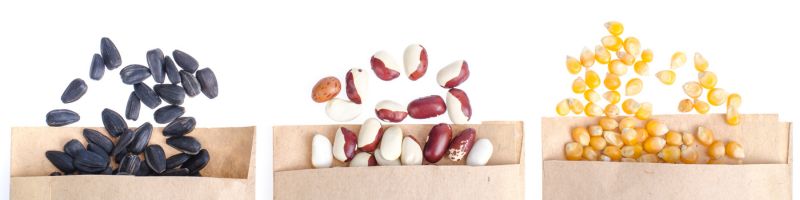 3 sachets de semences bio ouverts