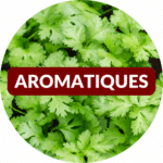 8 Aromatiques
