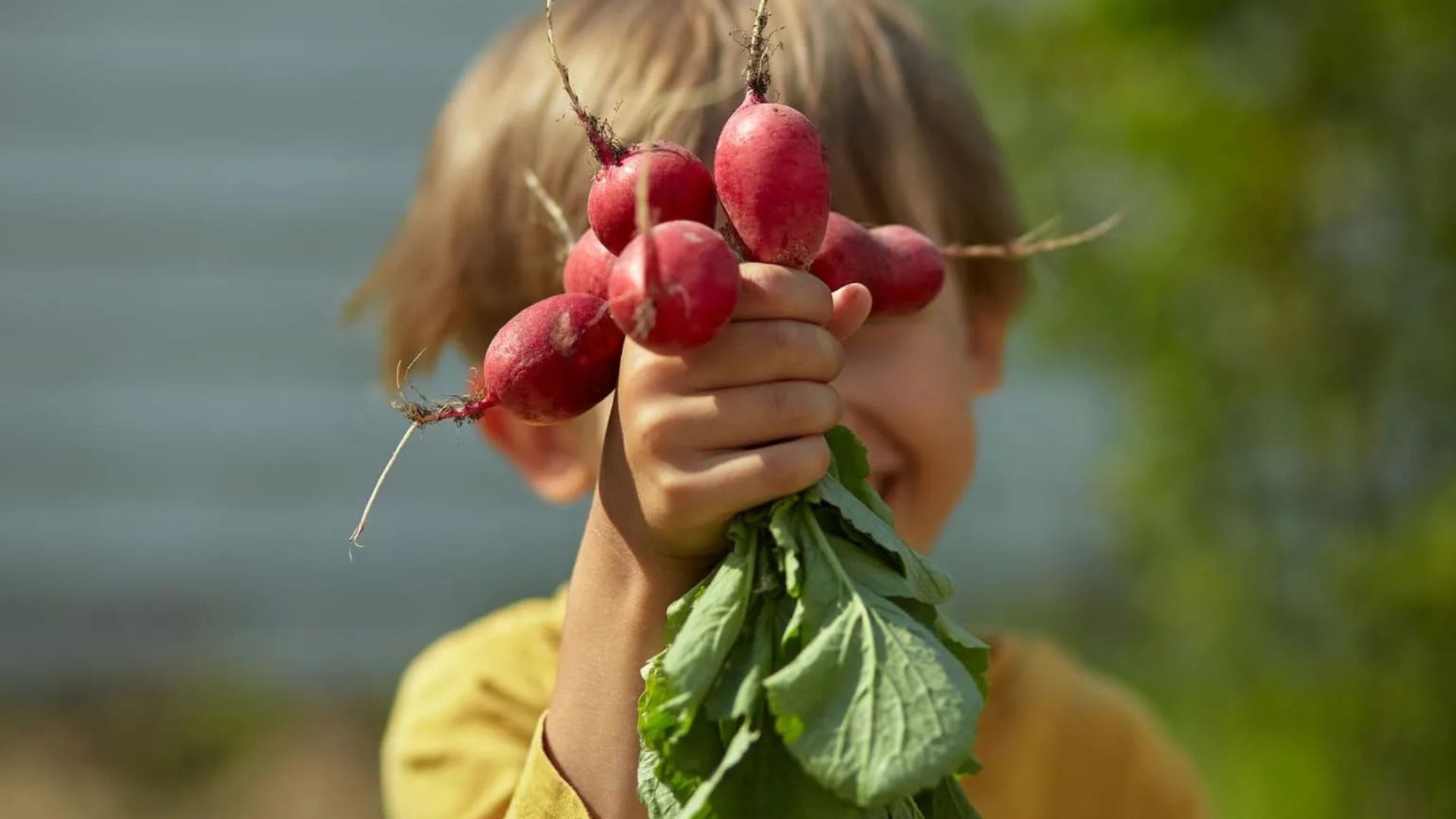 Cultiver des légumes bio avec les enfants : un jeu d’enfant !