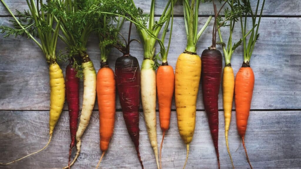 Cultiver des légumes insolites dans son jardin