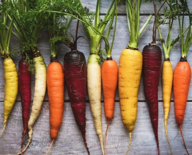Cultiver des légumes insolites dans son jardin