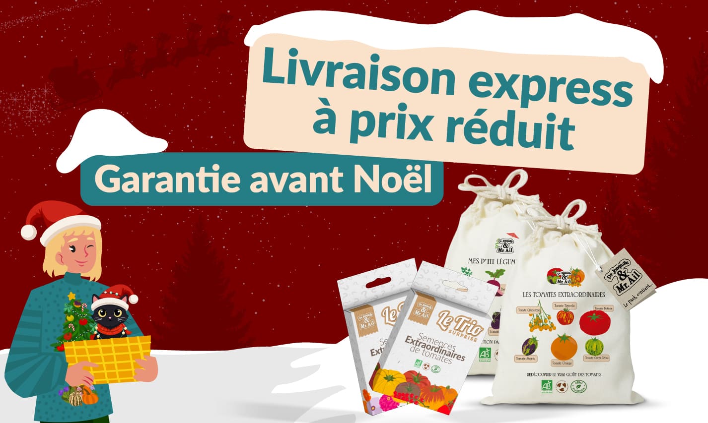 Dr. Jonquille et Mr. Ail : L'incroyable Noël de Dr. Jonquille