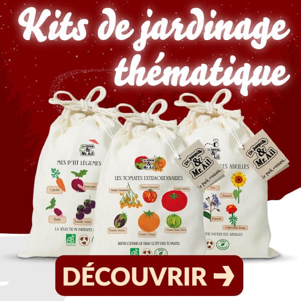 Noël P2_HP-600x600 Dr. Jonquille et Mr. Ail : L'incroyable Noël de Dr. Jonquille. Jusqu'à -70% !