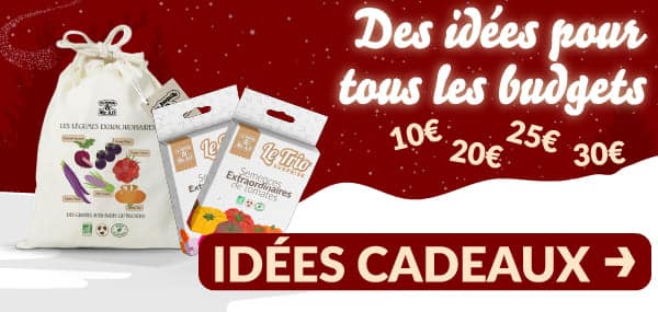 Noël P2_HP-66x285 Toutes les idées cadeaux par budget